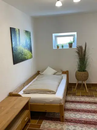 Ruhiges Einzelzimmer mit Holzbett, Waldbild, Zierpflanze und warmem Fliesenboden.